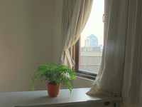  08.jpg 
