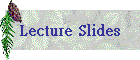 Lecture Slides