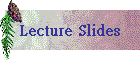 Lecture Slides