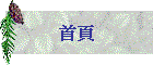 首頁