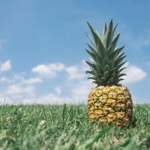 pineapple.jpg